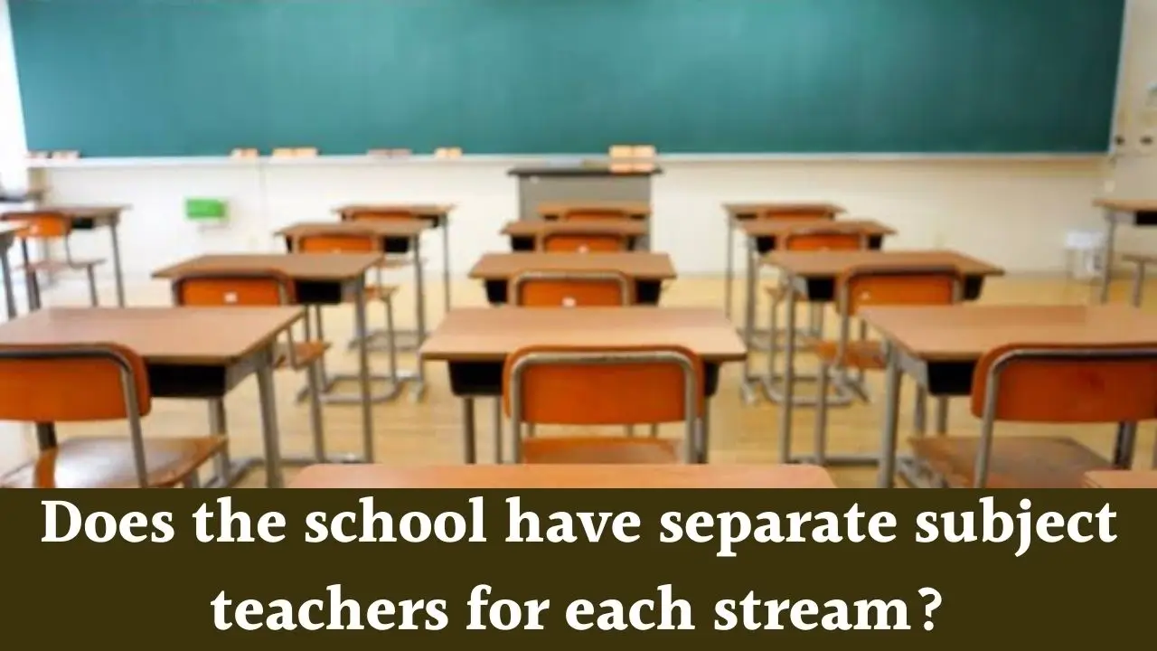 Separate teachers for each stream
