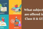 Subjects